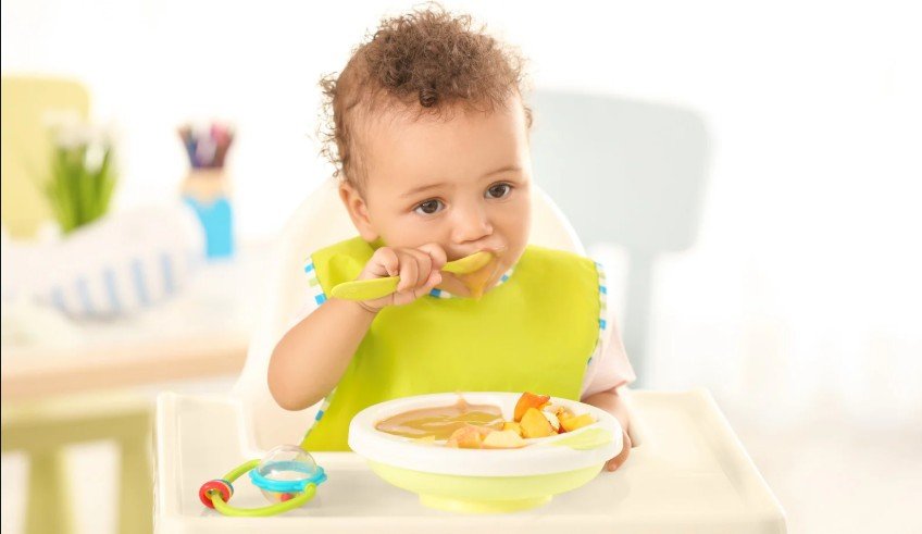 Picky Toddler Dinner Ideas