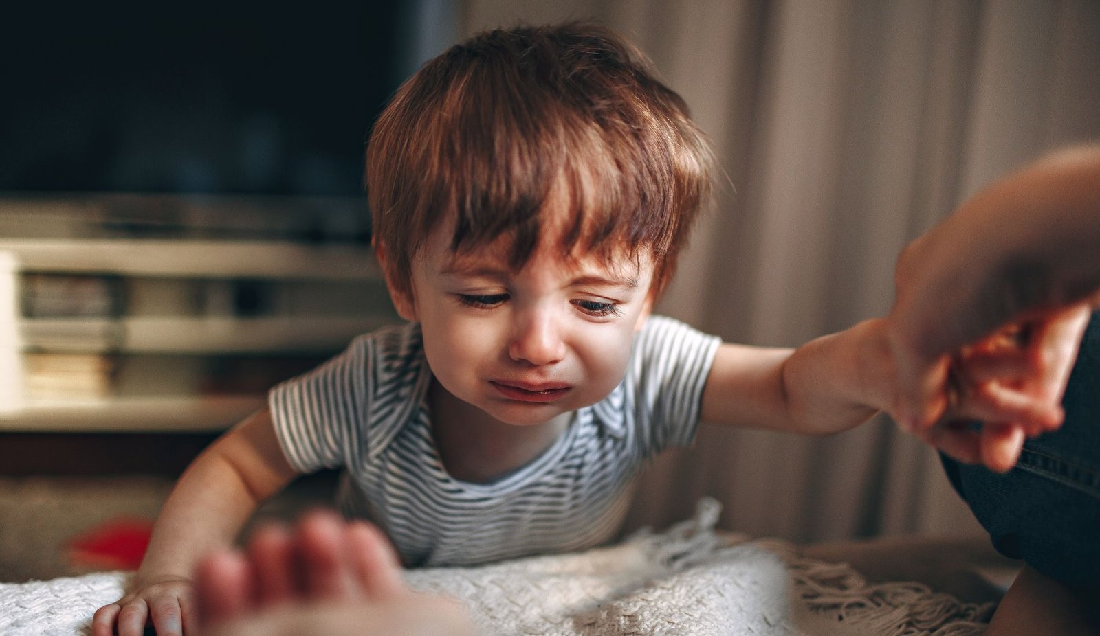 Attachment Theory and Parenting Styles