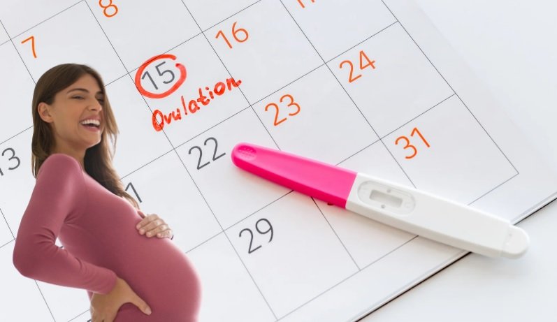 Can You Get Pregnant After Ovulation Is Over
