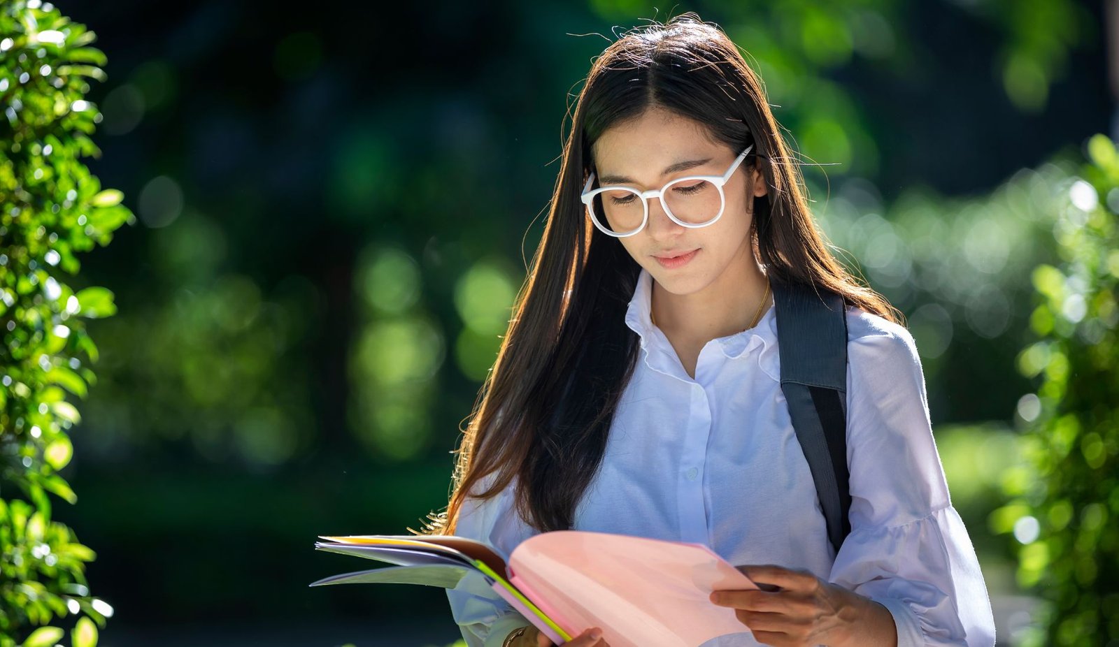 Do Adopted Kids Get Free College