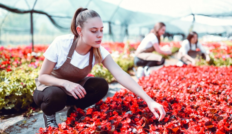How Many Hours Can a Teenager Work