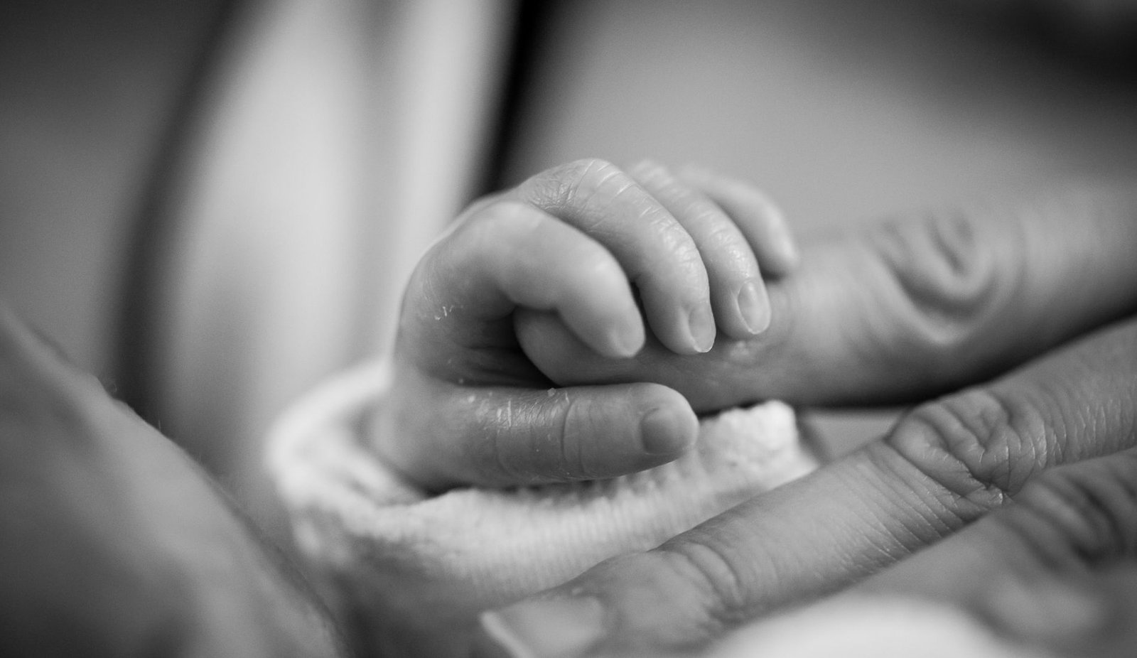 Why Is Adoption So Expensive