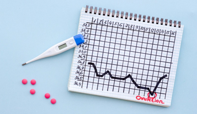 Success Rate of Morning After Pill During Ovulation