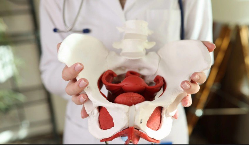 Fetal Station Labor and Delivery