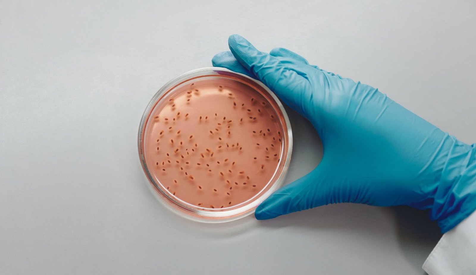 Does BV Cause Miscarriage