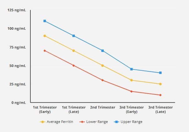 Ferritin Levels in Pregnancy Chart
