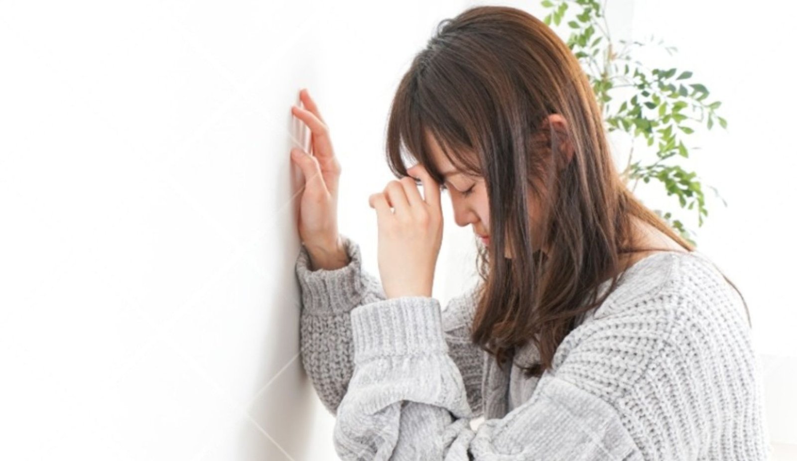 Physiology of Anemia in Pregnancy