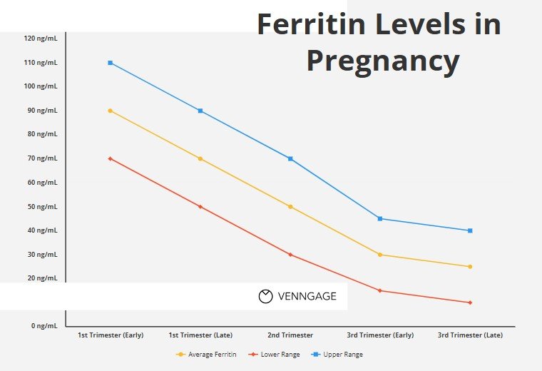 ferritin levels in pregnancy chart