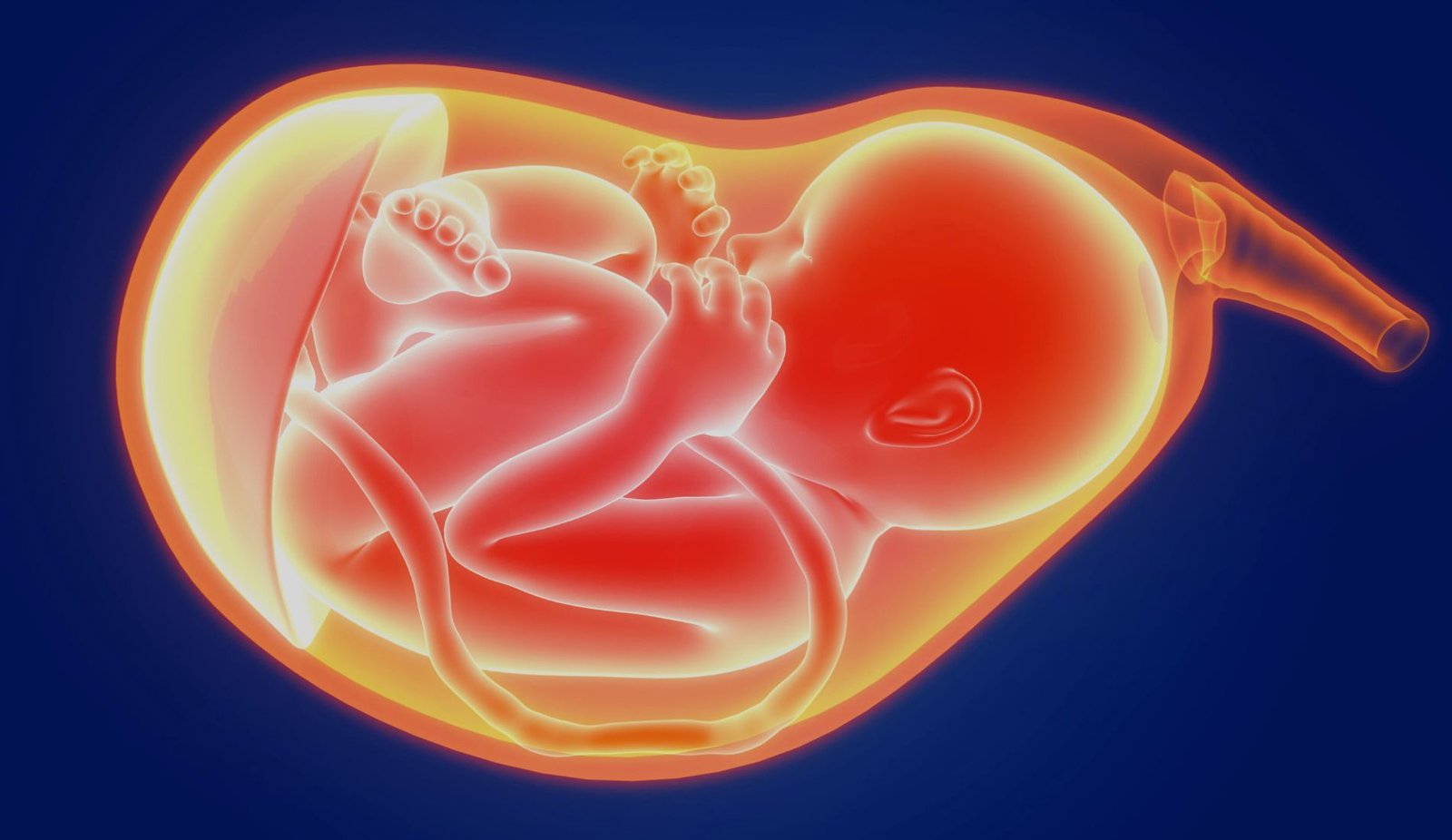 Management of Amniotic Fluid Embolism