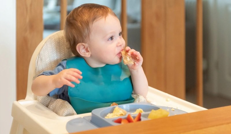 8 Month Old Baby Led Weaning Recipes