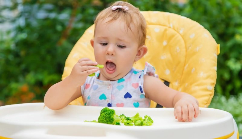 Baby Led Weaning Broccoli