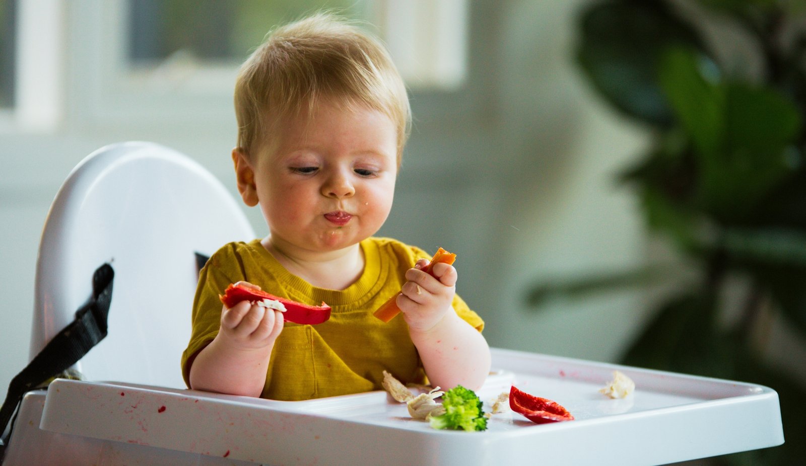 Baby Led Weaning Carrots