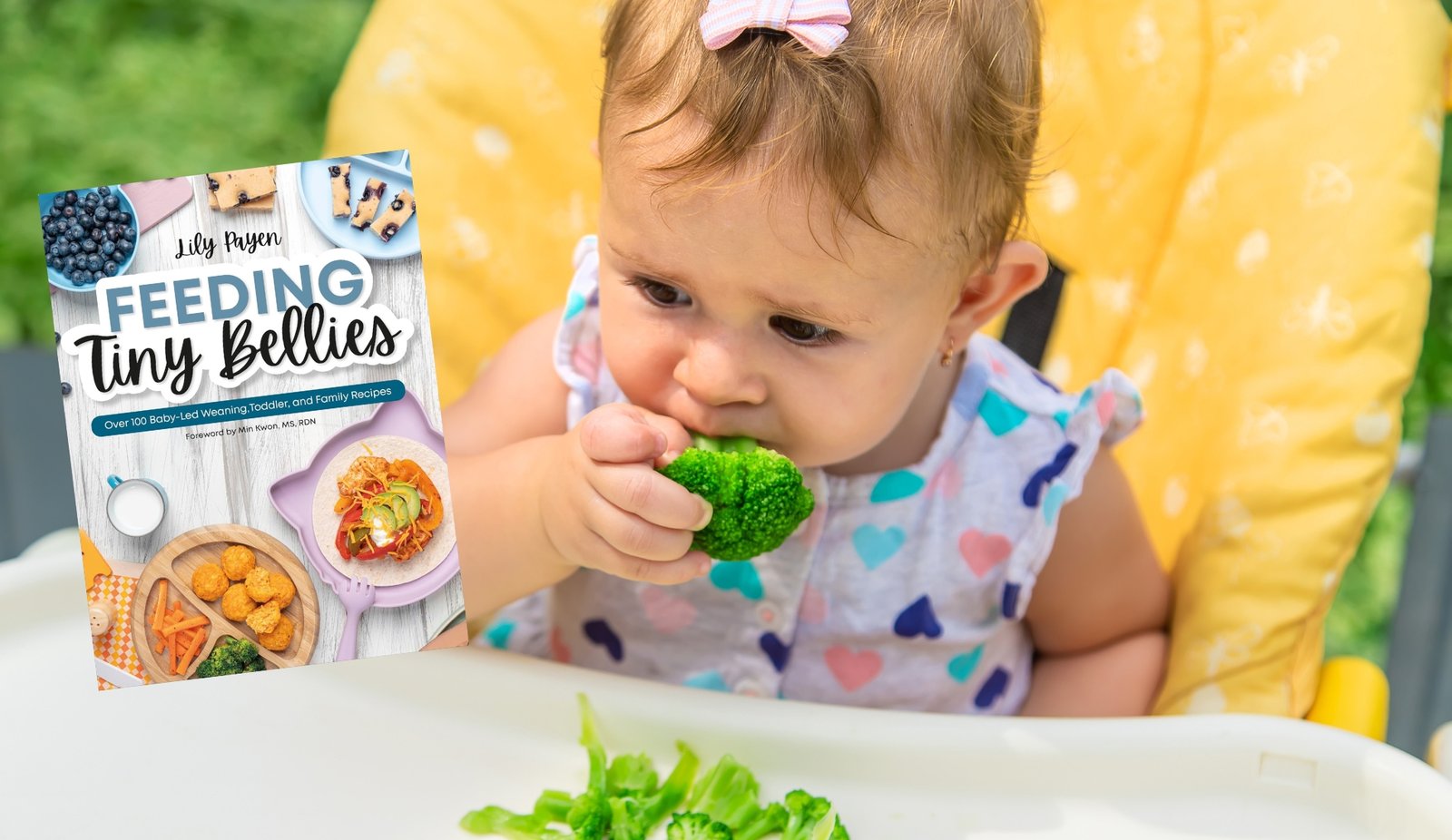 Best Baby Led Weaning Book
