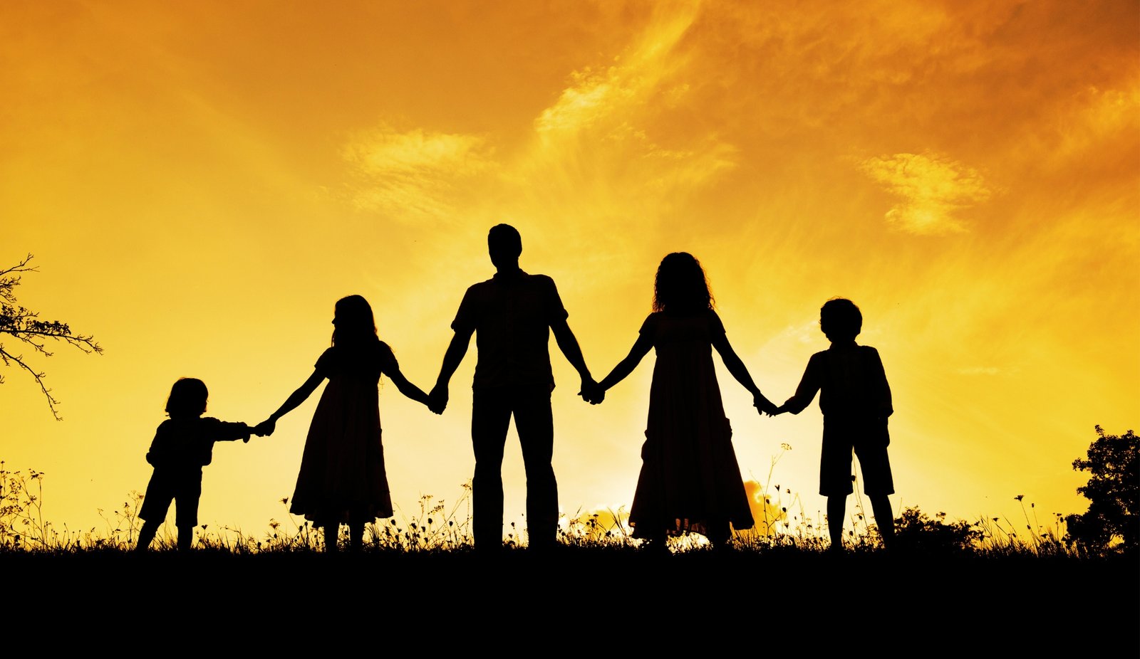 Family Connectedness vs Attachment