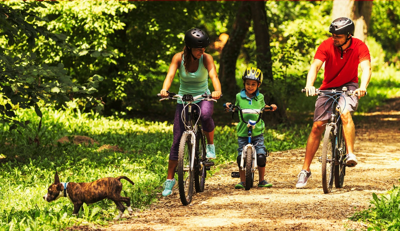 Family Quality Time Quotes