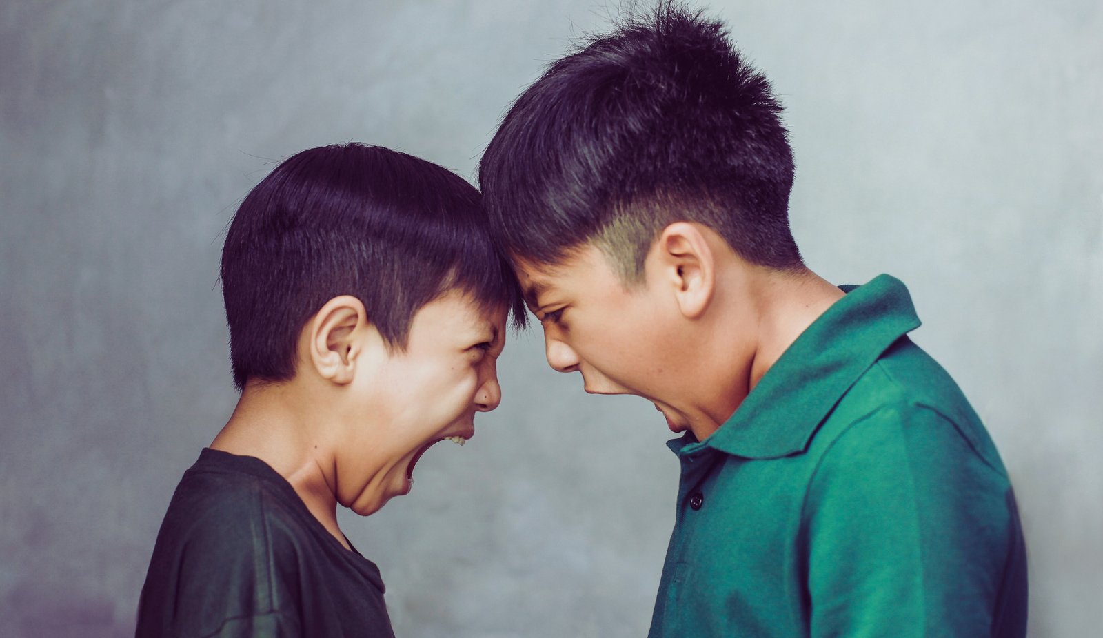 Healing Adult Sibling Relationships