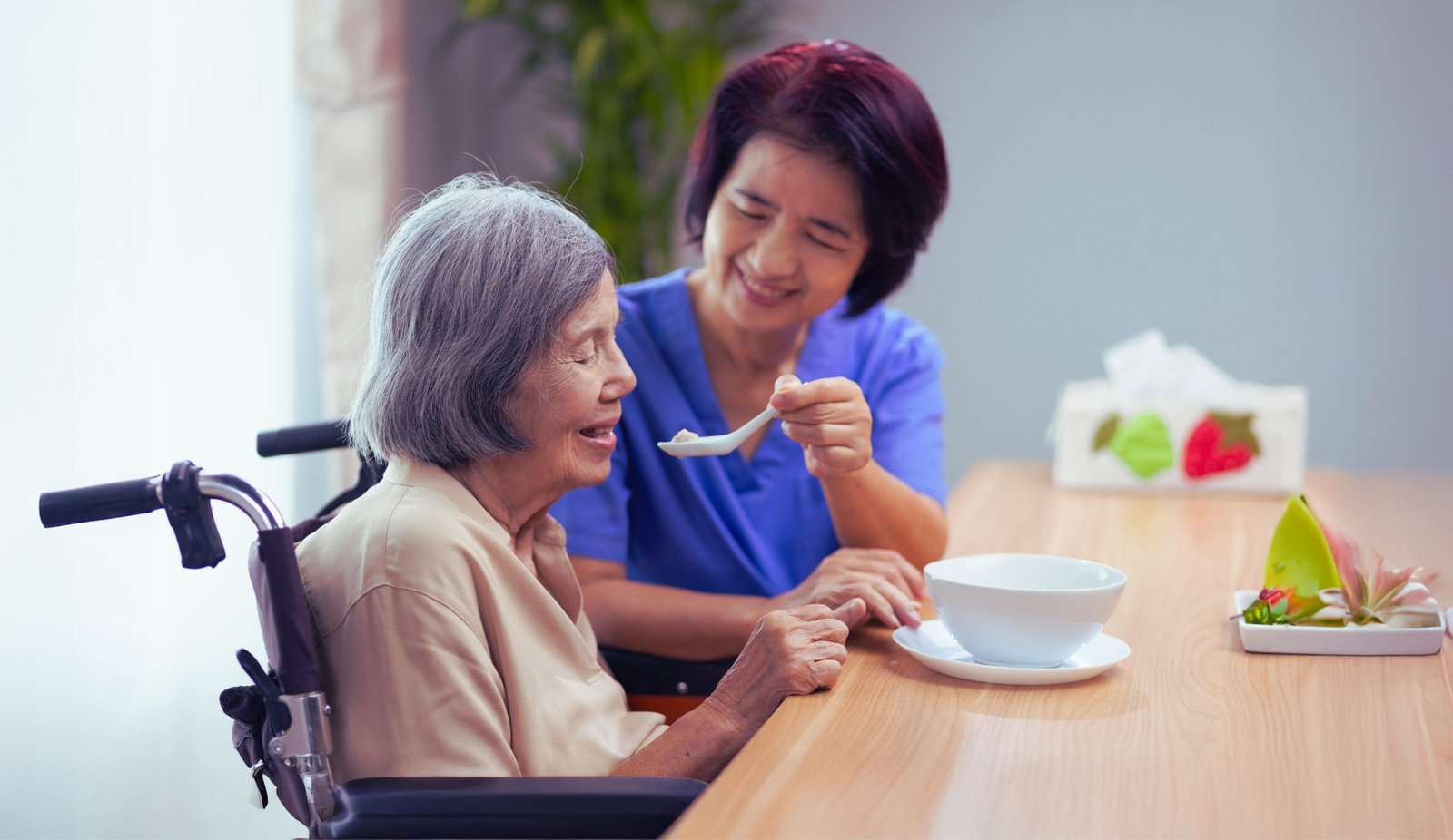 Sibling Conflict Over Care of Elderly Parent