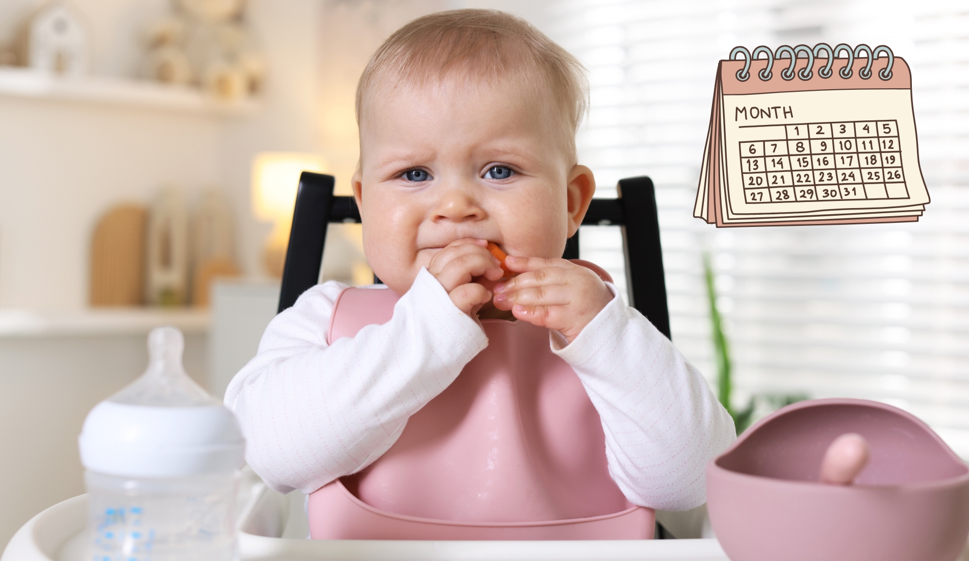 Starting Solids 6 Months Schedule