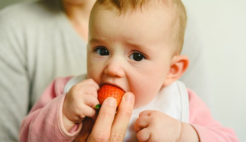 starting solids strawberry Benefits
